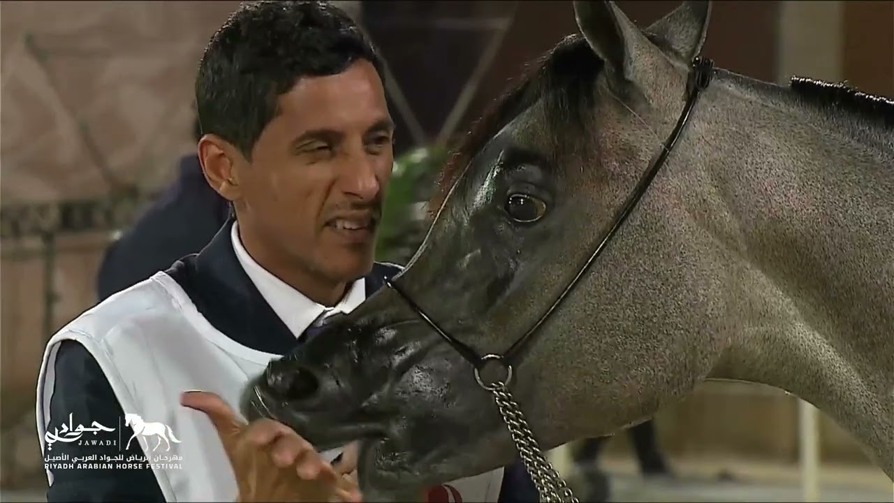 بطولة امهار اعمار سنة