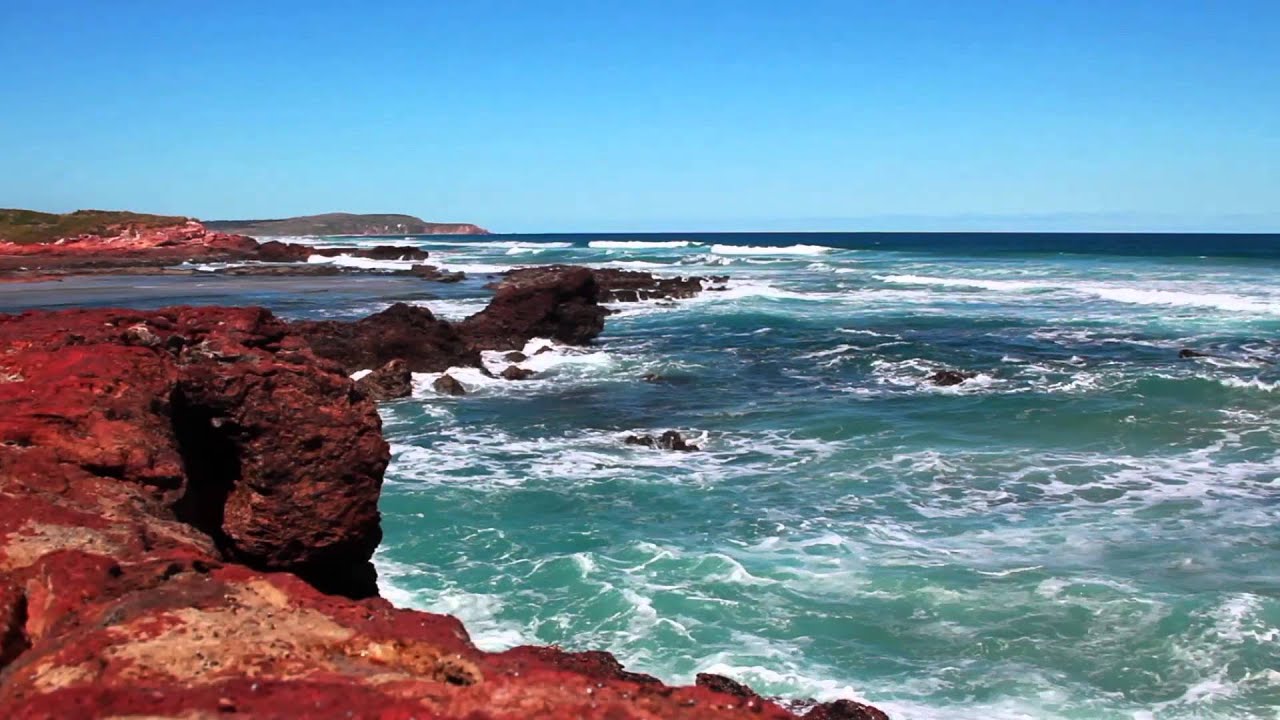 Free Stock Video Download - Free Stock Video Footage - Free Stock Videos at Videvo.net