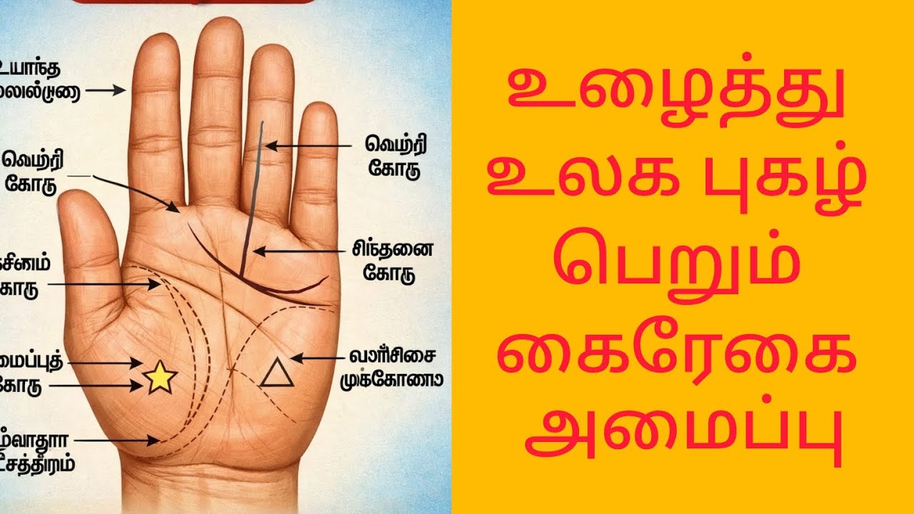 உழைத்து உலகப் புகழ் பெறும் கைரேகை அமைப்புll palmistryvideo llastrology ll கைரேகை ஜோதிடம் அரியலூர் 