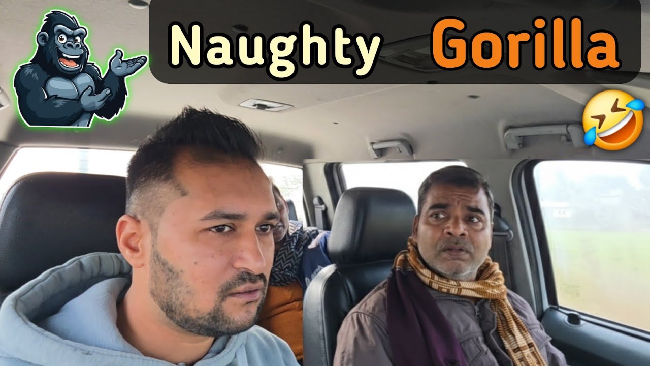 GORILLA Car Prank Reactions 🤣 #carprank #gouravpahwa