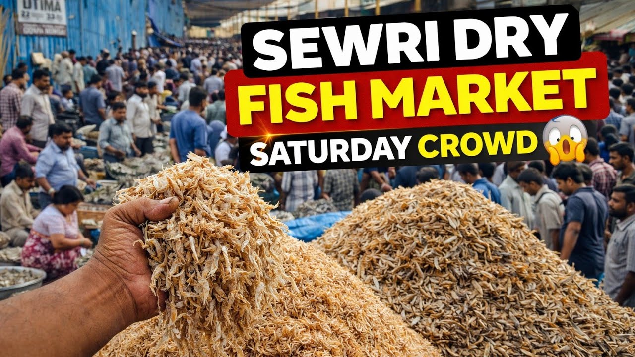 Sewri Dry Fish Market Mumbai 🔥 Saturday Wholesale Market | Dry Fish Prices & Crowd