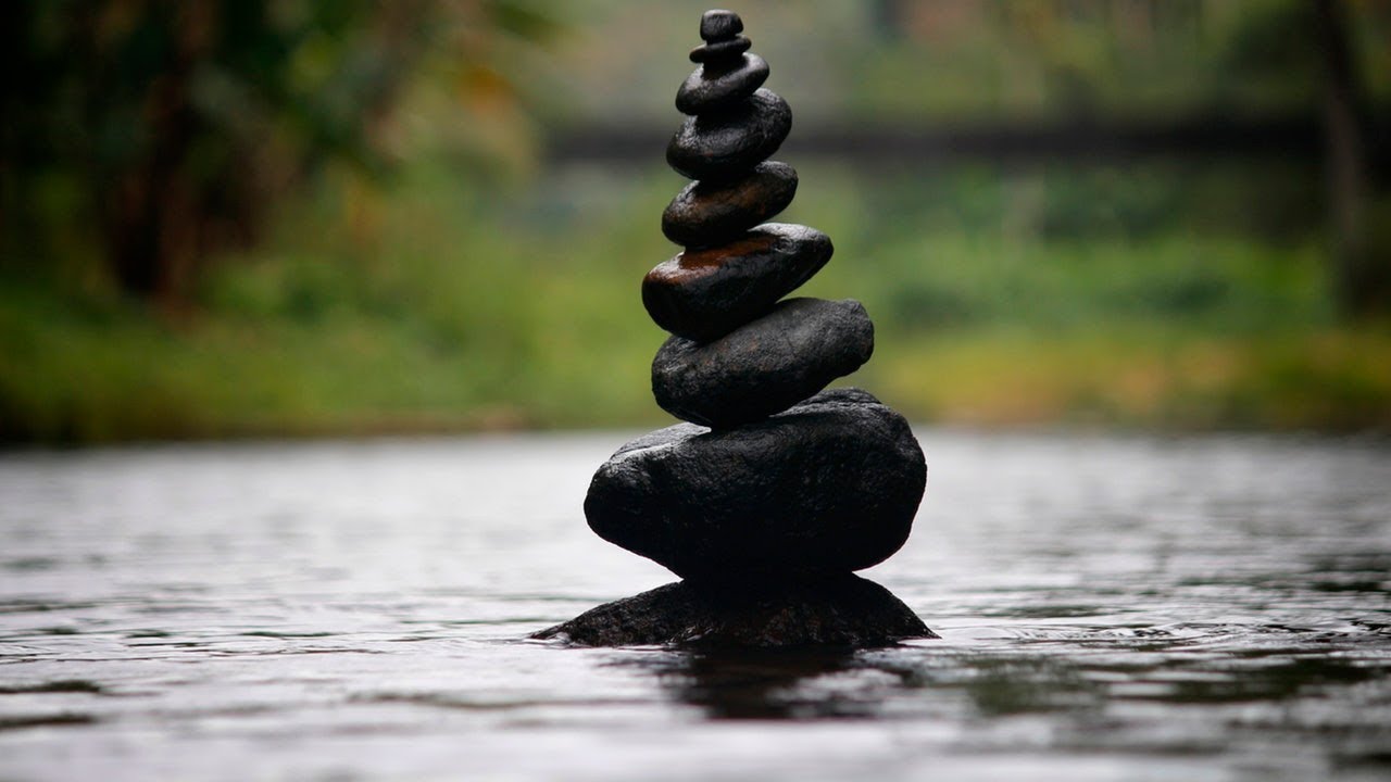 Yoga Day Special  | Yoga Motivational Quotes