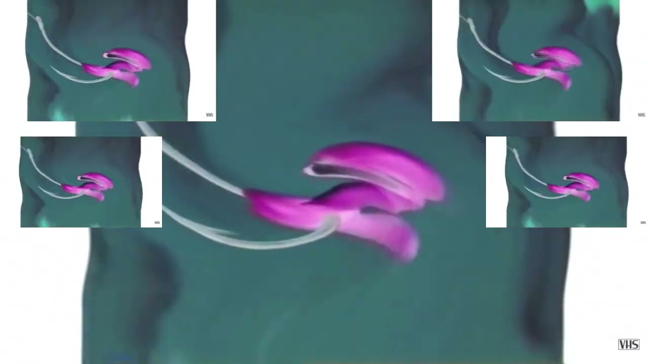 Dreamworks Animation SKG (Shark Tale Variant) in G-Minor B has a Sparta Gamma Remix