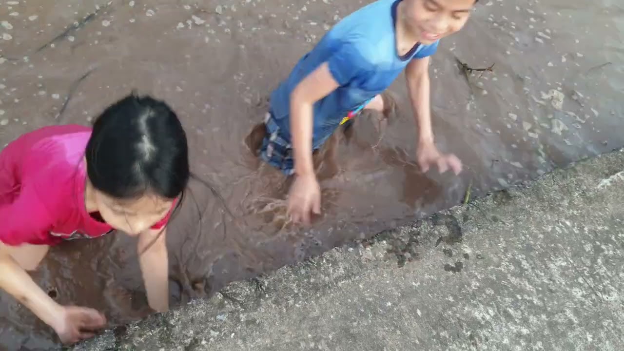 Mò cua bắt ốc