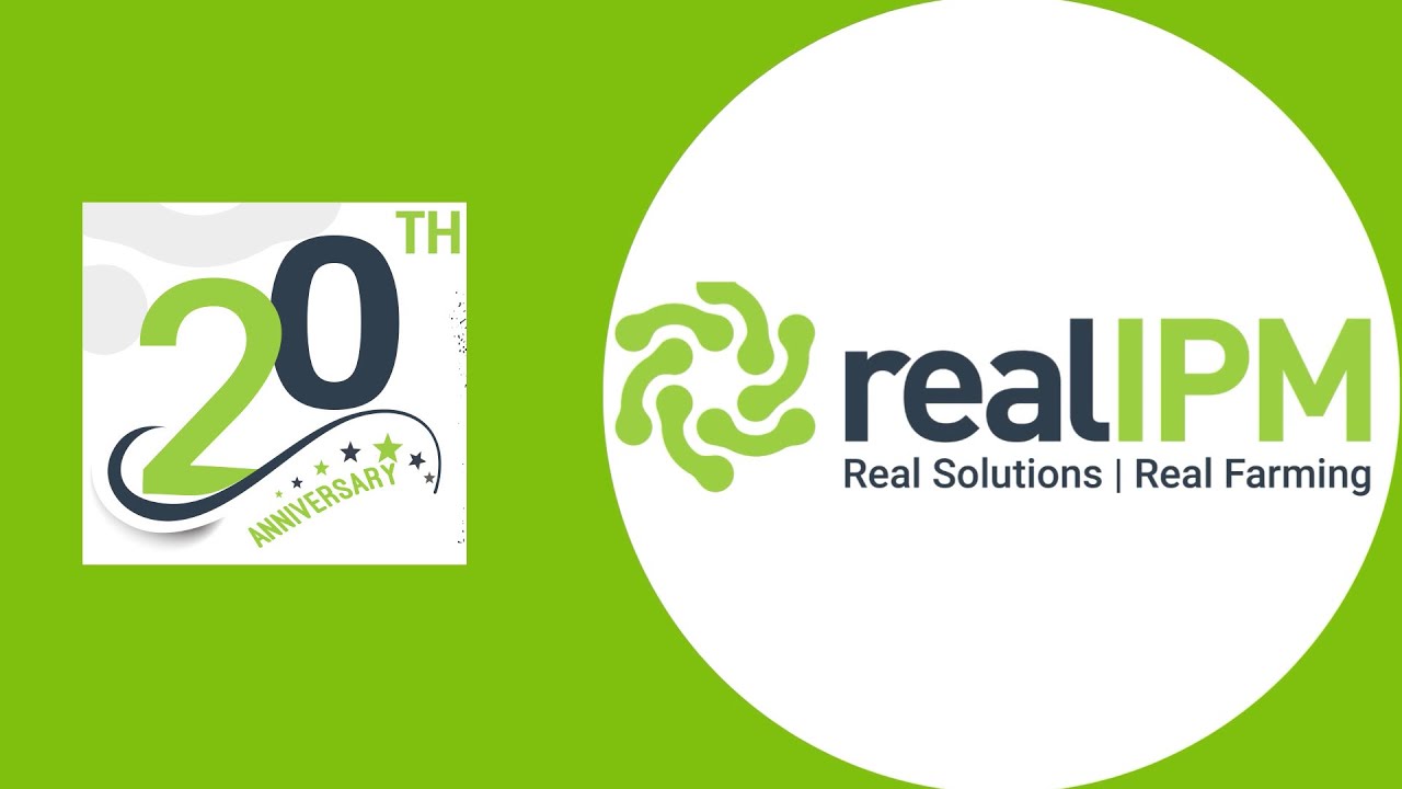Real IPM 20th Anniversary
