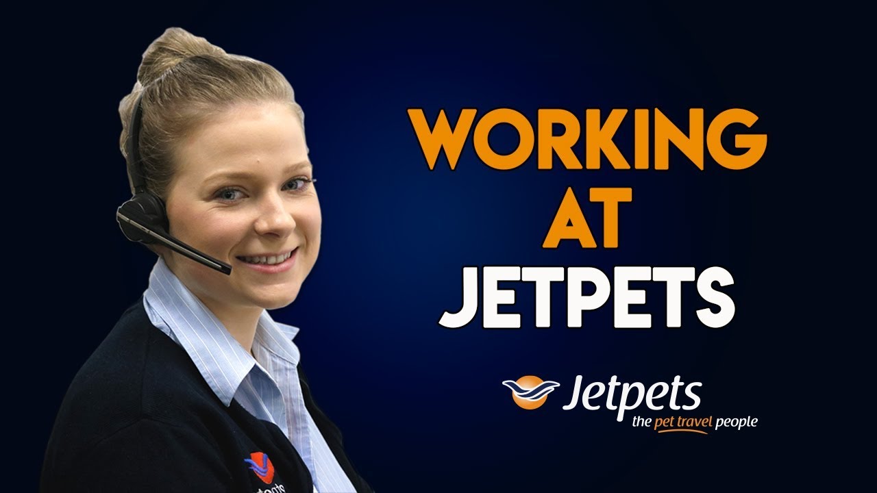 Working at Jetpets