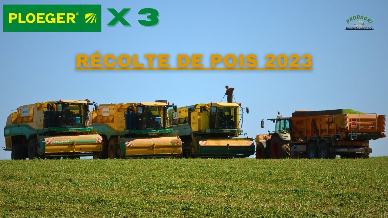 RÉCOLTE DE POIS/PLOEGER X3 /720+TRANSBORDEUR DEZEURE/PRODAGRI