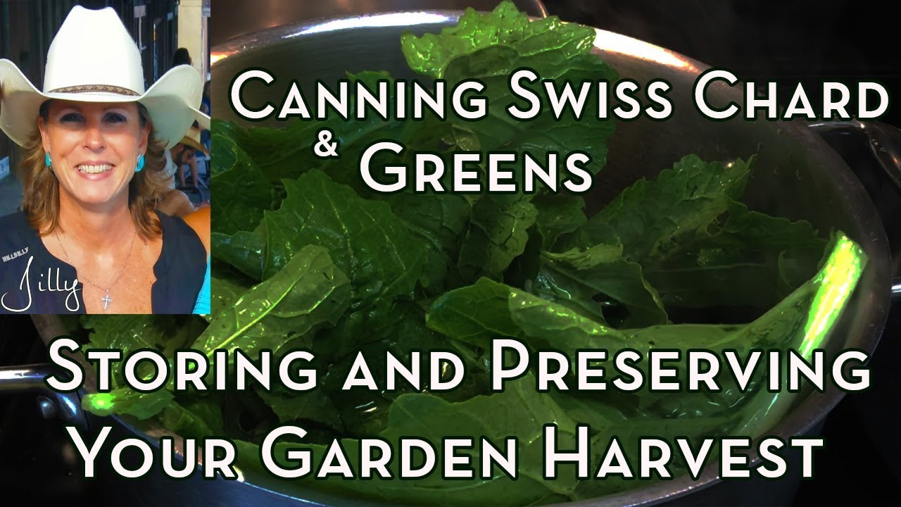 Canning Swiss Chard and Greens – Storing and Preserving Your Garden Harvest