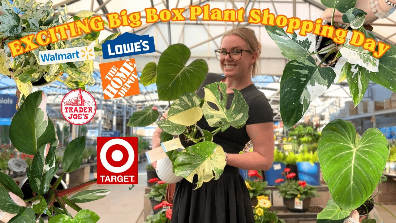 NEW RARE Plant Finds at Walmart, Home Depot & Lowes 🥳 Exciting Plants Never Seen Before + Haul 🤤