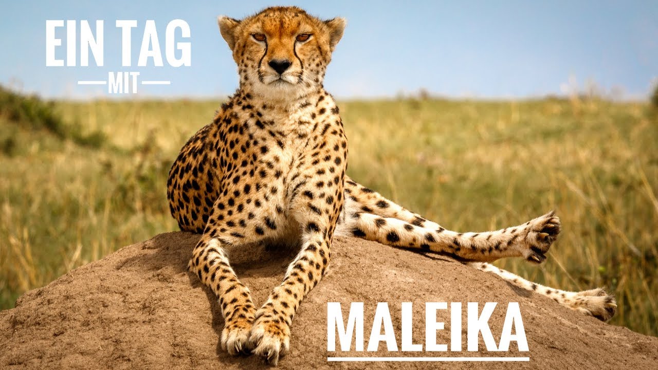 Ein Tag mit Maleika. Auf Fotosafari mit  Martin Buschmann