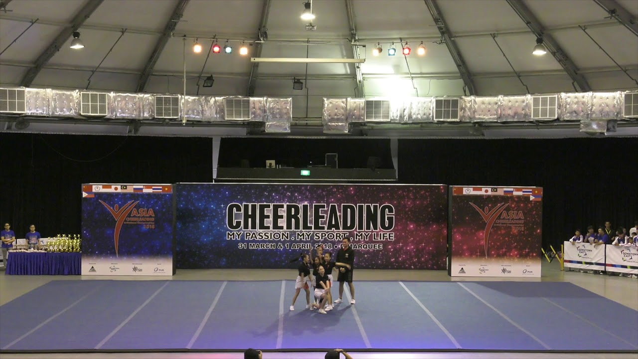 ACIC 2018 Team 5  Bears White