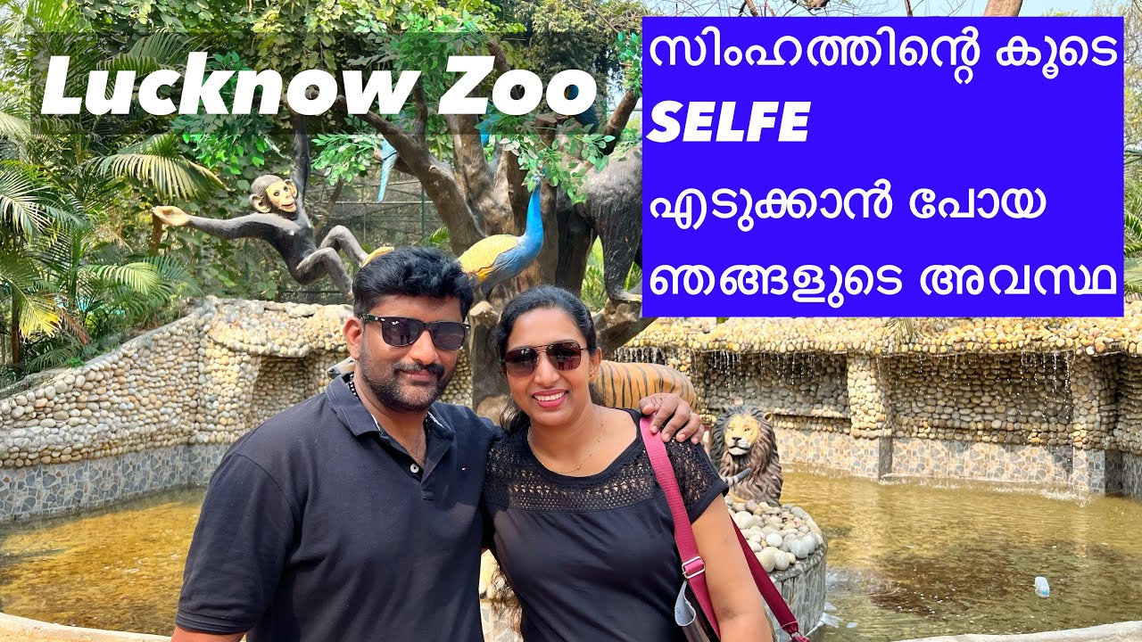 സിംഹത്തിന്റെ കൂടെ selfe 😆 ഓരോരോ അവസ്ഥകളെ 😆| Wide Vlogs | Lucknow Zoo✌️