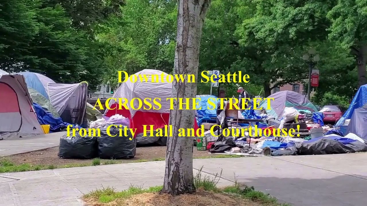 Seattle homeless tour - Homeless crisis on the streets of Seattle - This is what it looks like.