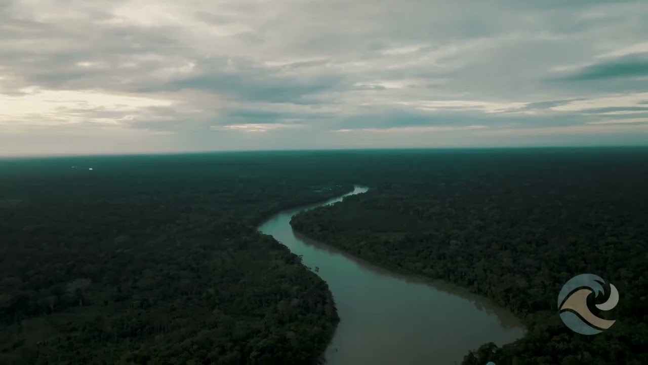 Amazonas 🌿 - Soft Wave Musik - Deep Jungle 🍃✨ The calm rhythm of the Amazon River #video #4k #8k