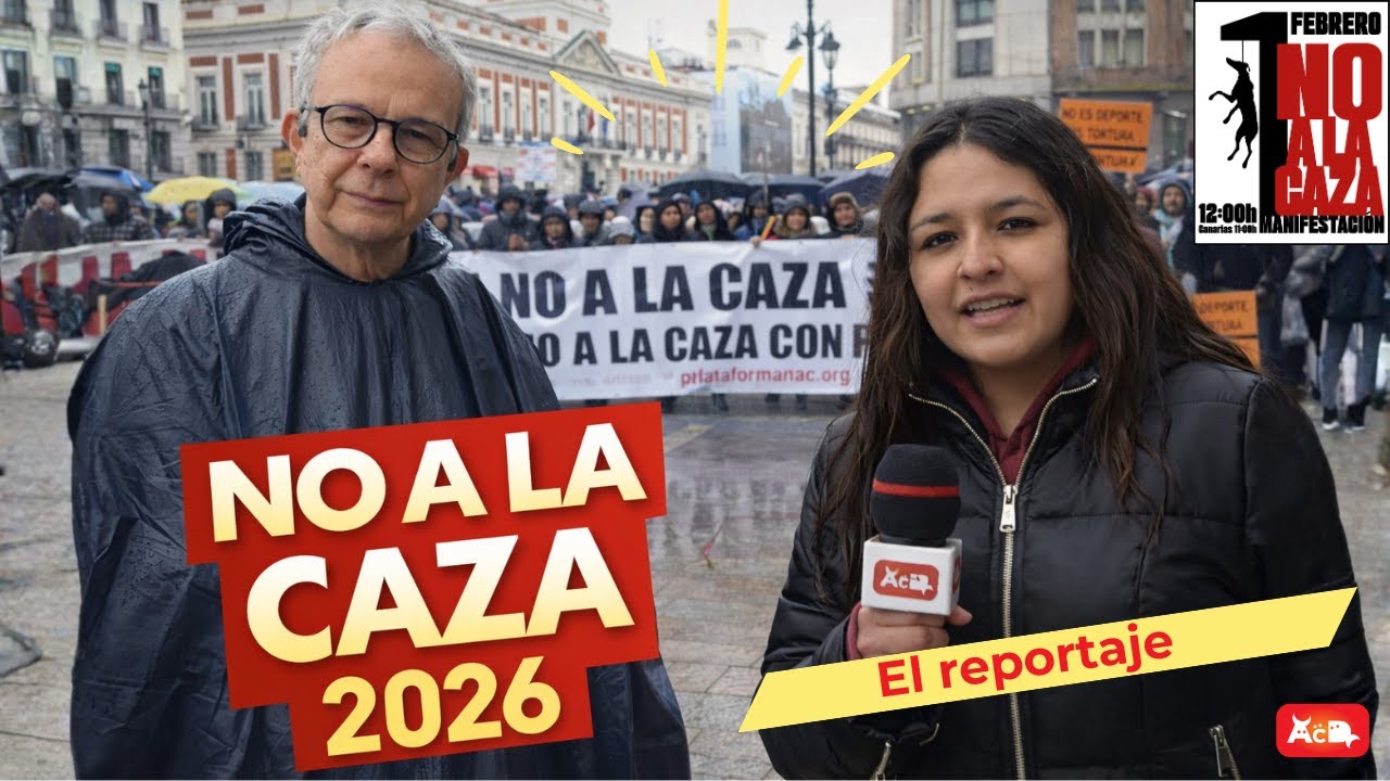 Dentro de la manifestación No a la Caza 2026 | Reportaje Animales con Derechos