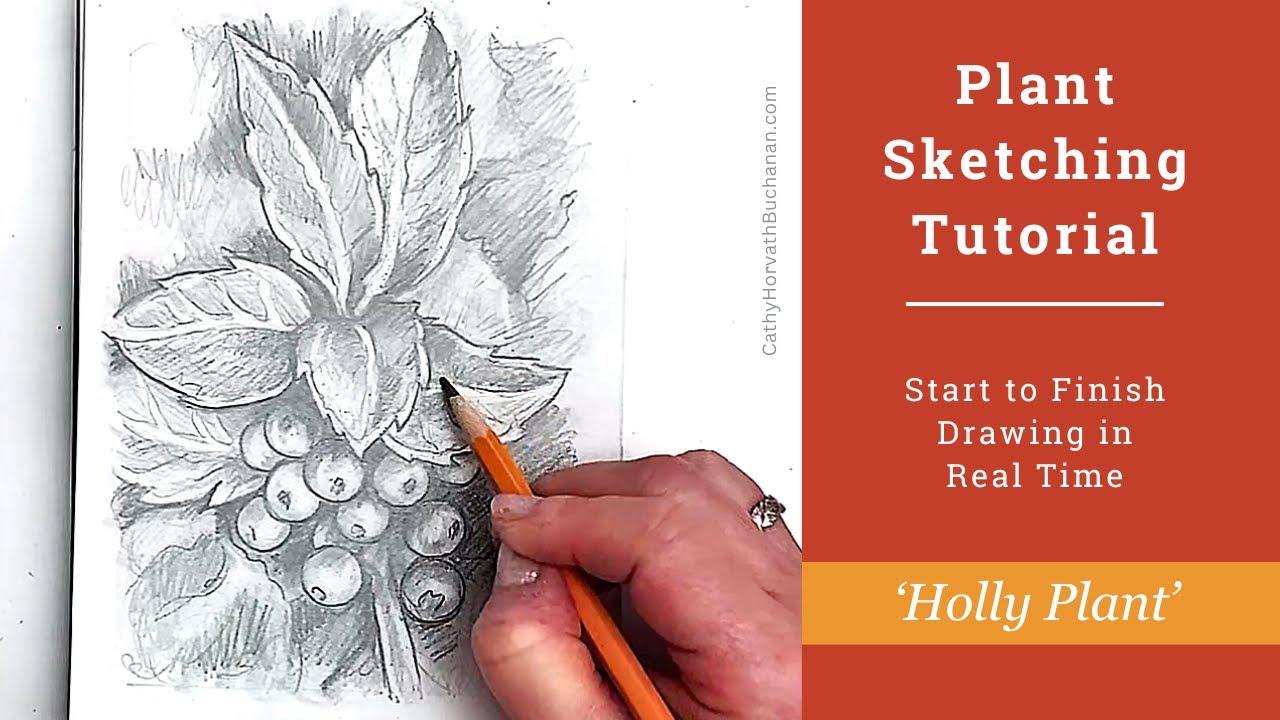 Watch How I Draw this Plant with Pencil, Step by Step Sketching Tutorial!