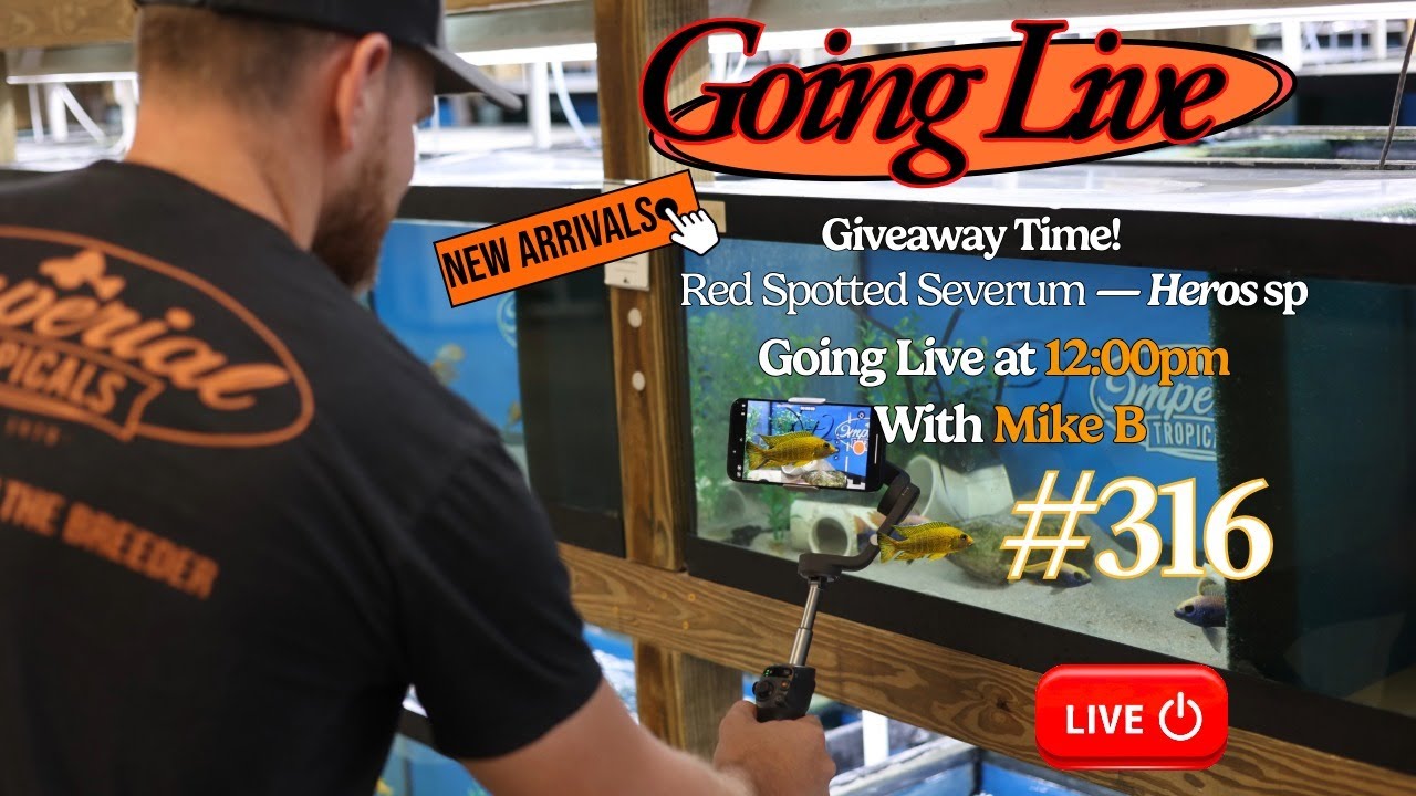 🐟 New Arrivals & Fun Friday Giveaway — Going LIVE at 12:00 PM EST with Mike B! 💯❤️