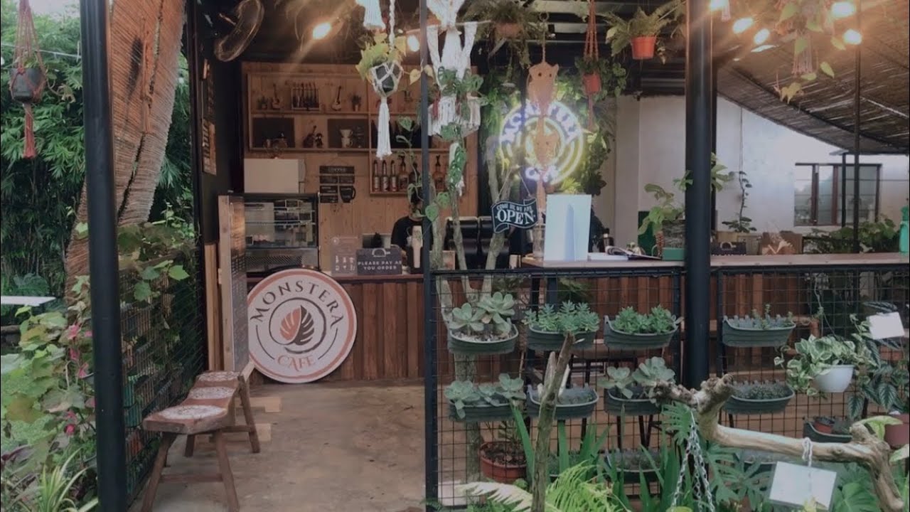 Monstera Cafe tour