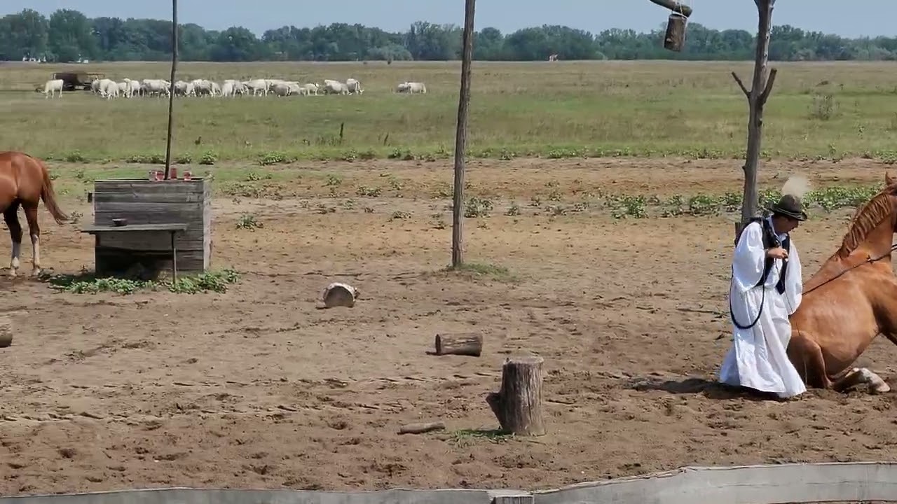 Bugacpuszta