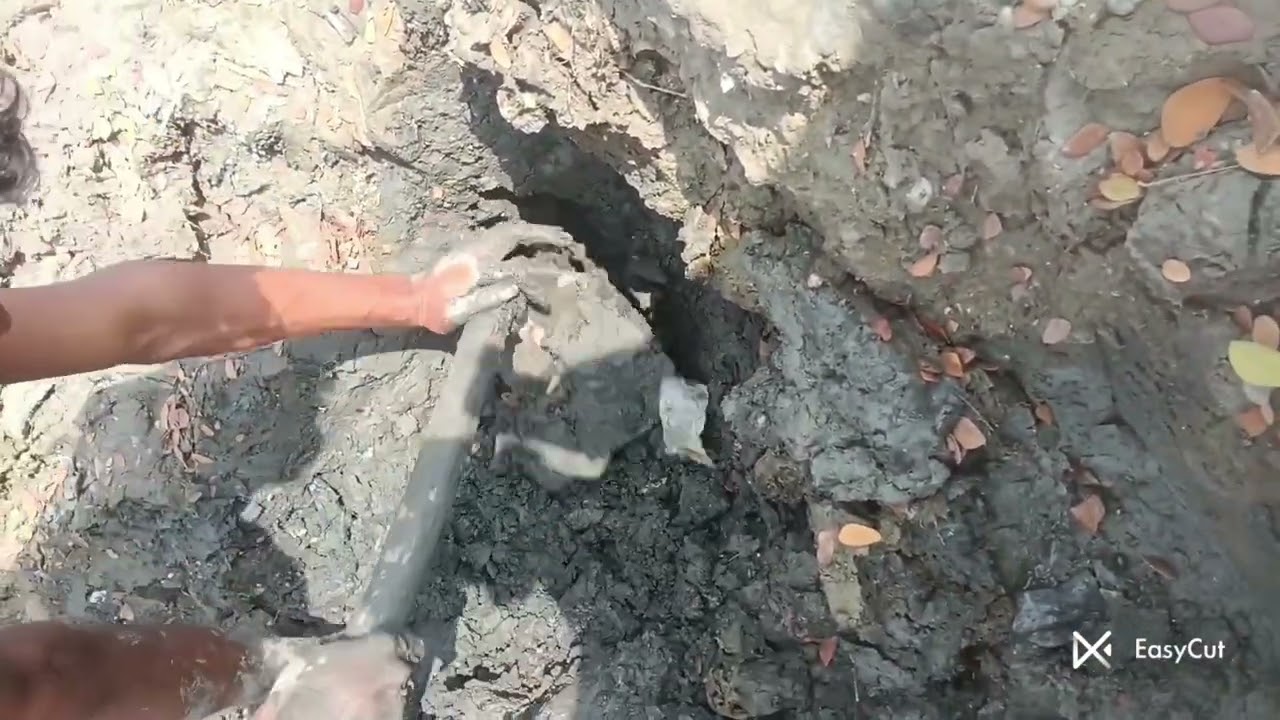 Fis ing 🐟👀💯