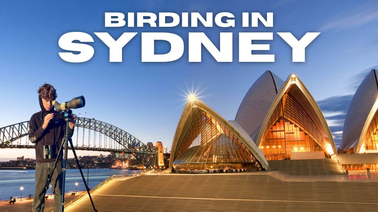 90 LIFERS in ONE DAY! Epic New South Wales Australia Birding Adventure