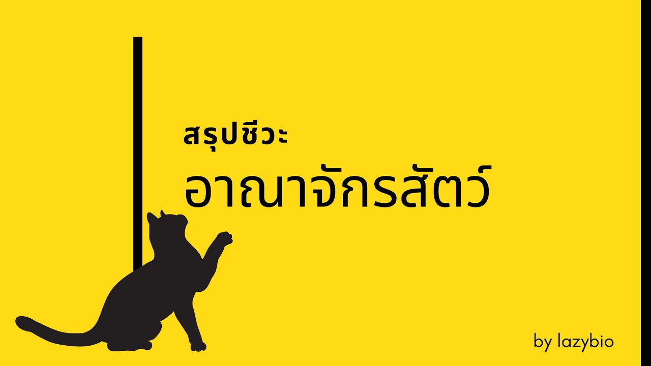 สรุปชีวะ ความหลากหลายทางชีวภาพ (อาณาจักรสัตว์)