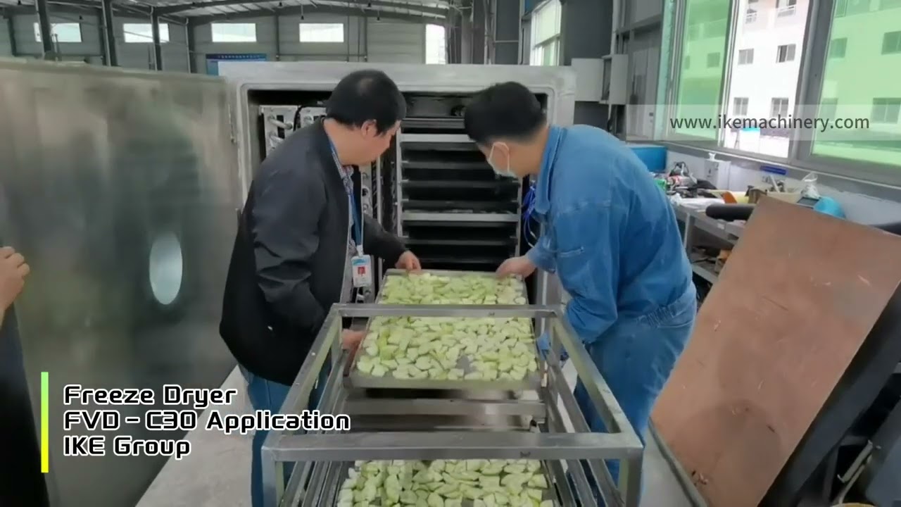 FVD-C30 Commercial Large Freeze Dryer Machine in Action