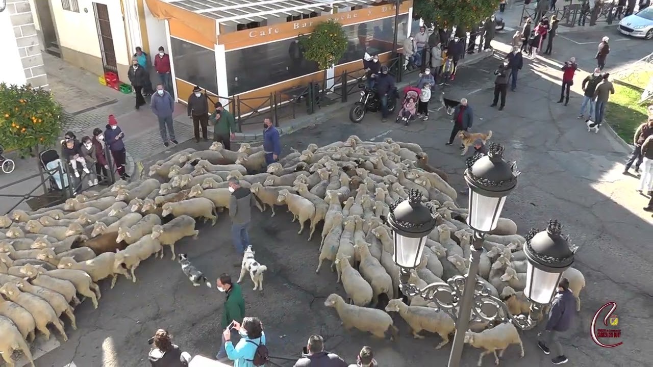 España Fascinante estuvo en Cabeza del Buey para FITUR