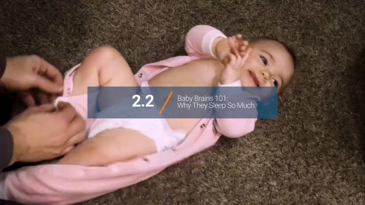 Why do Baby's Sleep So Much? - The Free Baby Sleep Course