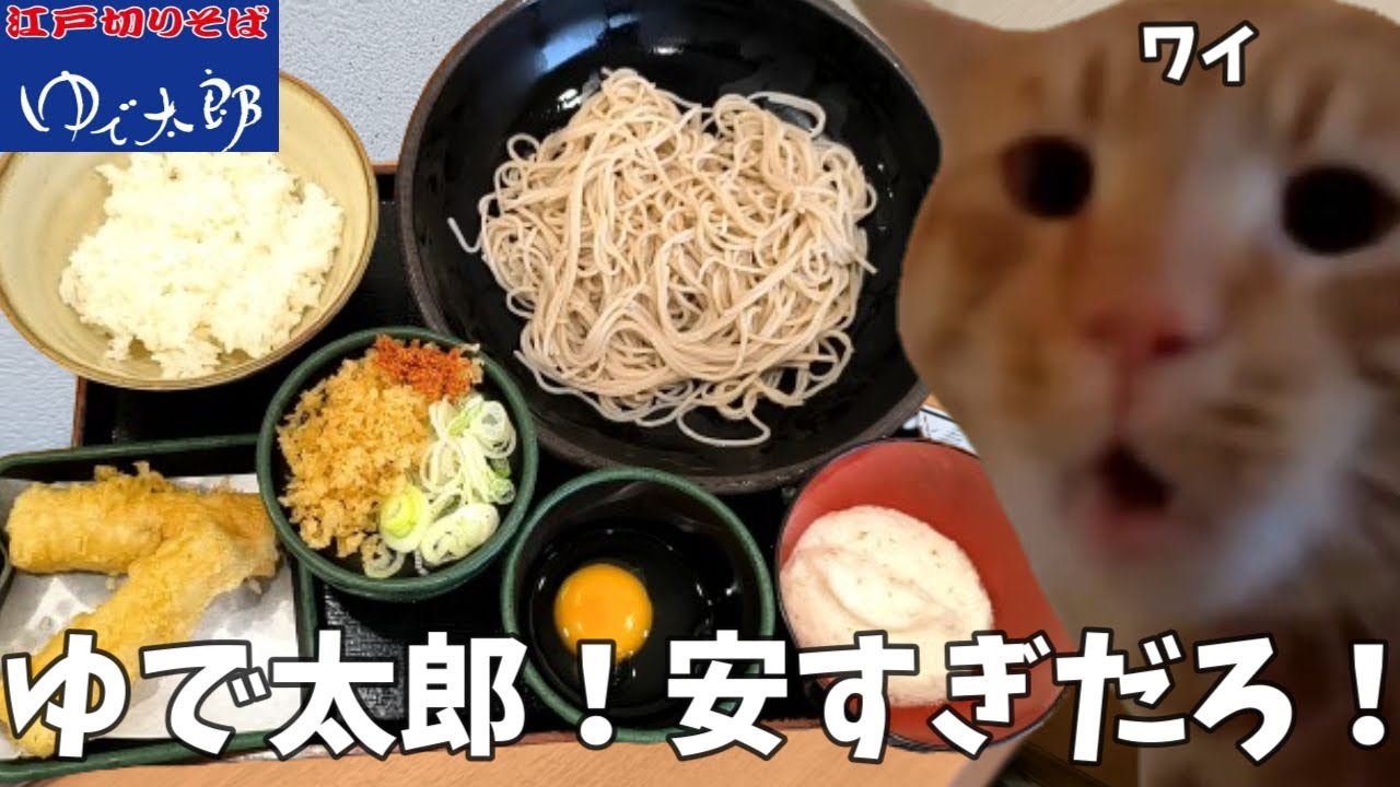【ゆで太郎】朝定食は蕎麦だよな！？ちくわ天も頼んでリッチだぜ！という話【ざるそば】#猫ミーム #猫マニ