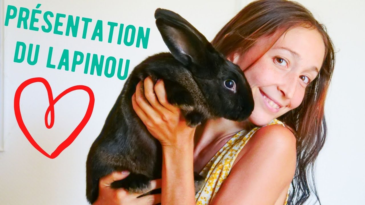 Je vous présente mon lapin : son histoire ? amitié avec le chien ? alimentation ? soins naturels ? 🐰