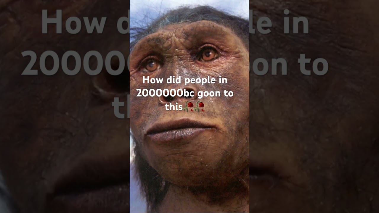 #funny #memes #monkey how did people in 2 million BC goon to this