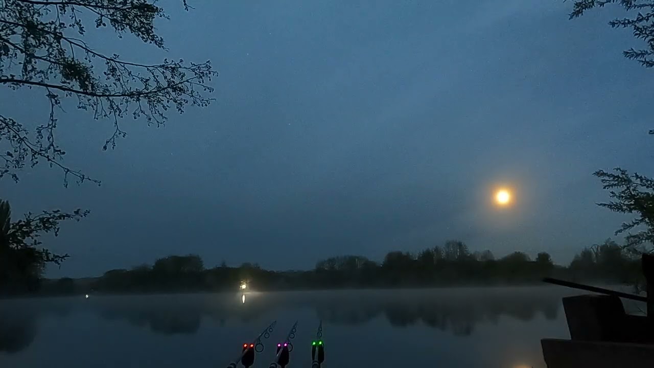 French Night Capture