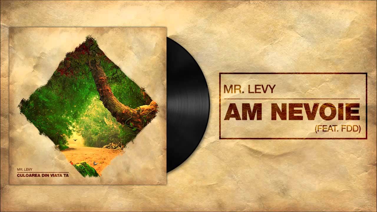 Mr.Levy feat. FDD - Am Nevoie