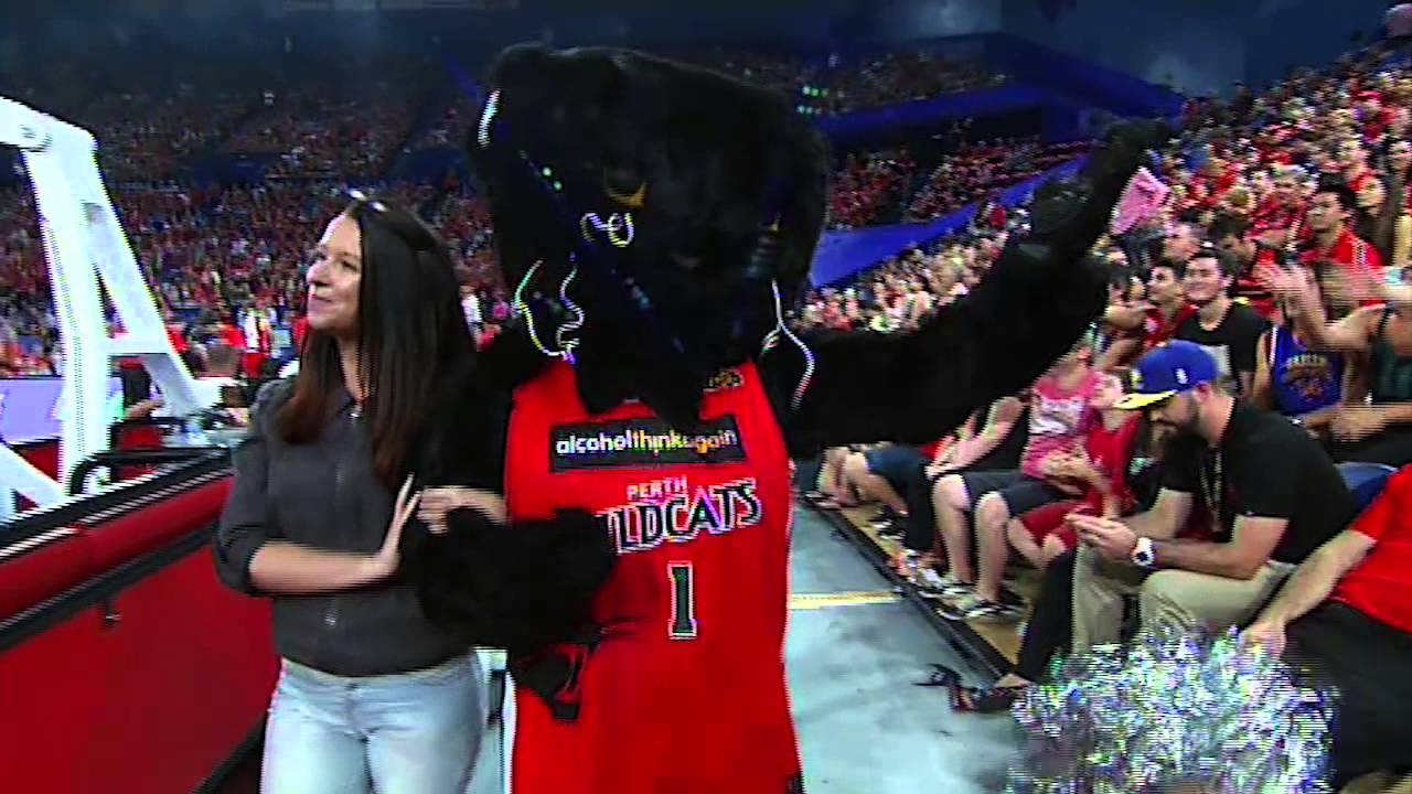 Perth Wildcats - Wilbur throws cake at his date