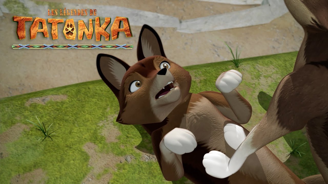 Tatonka la Compil | La chasse est ouverte | Dessins animés de loups