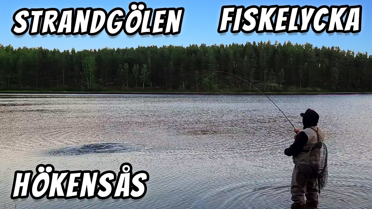 Fina Fiskar i Strandgölen Hökensås | Fiskelycka