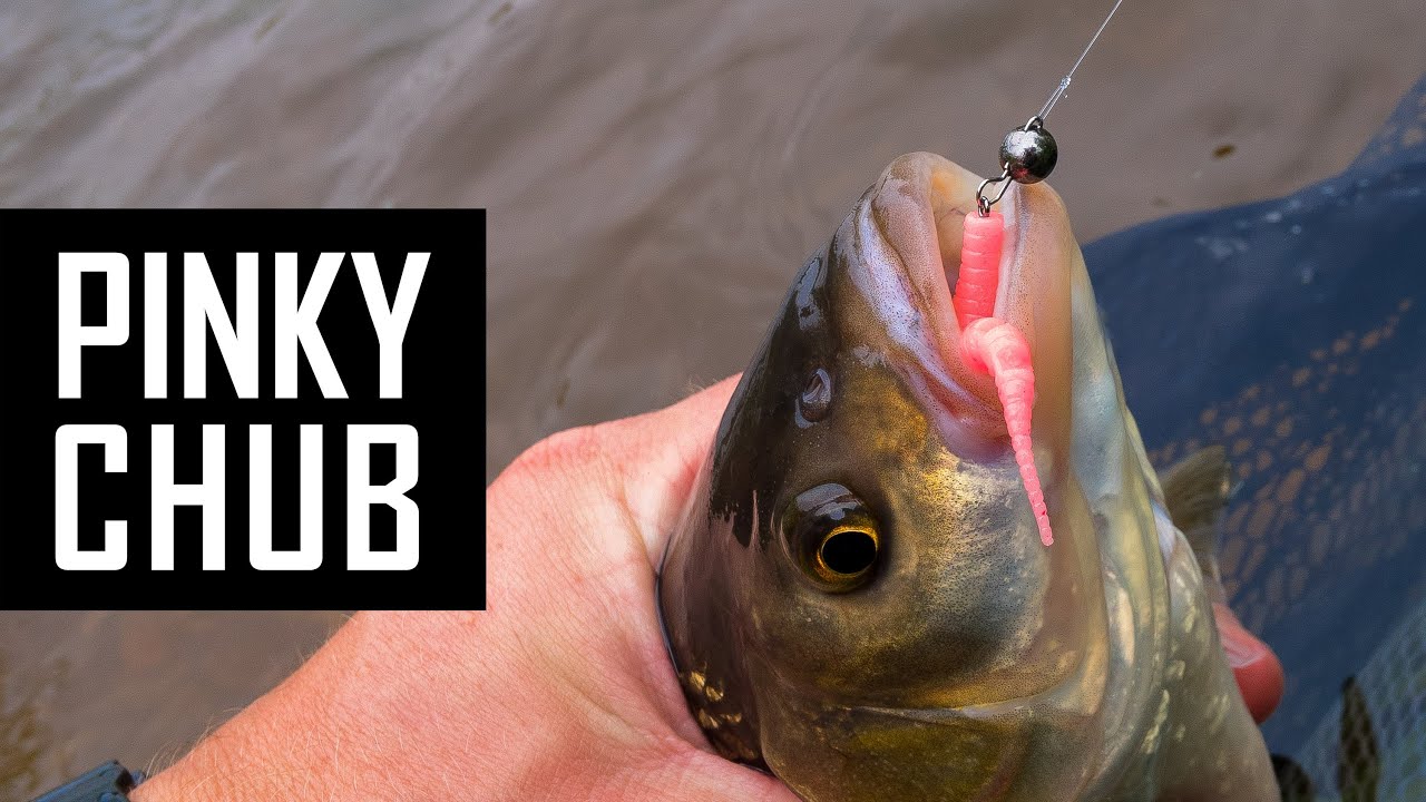 Great CHUB lures for hard days