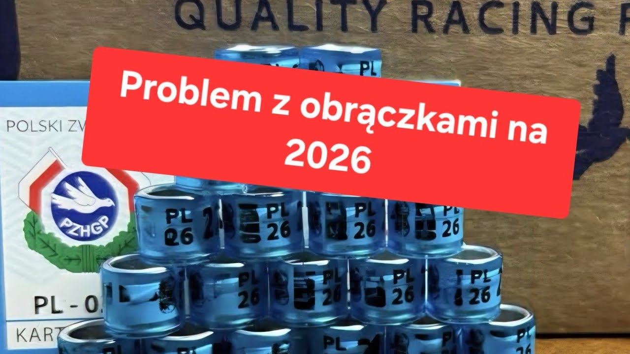 Problem z zakupem obrączek na 2026, o co tu chodzi🤔 02.01.2026