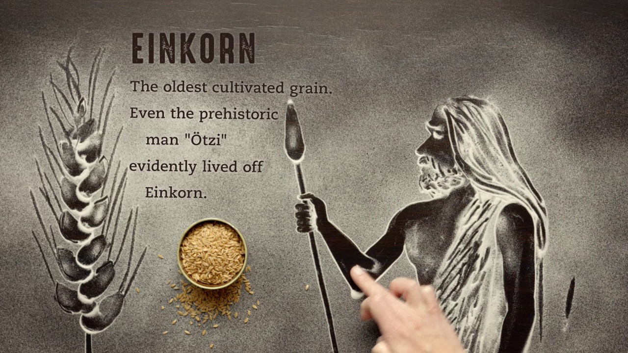 Our Ancient Grains