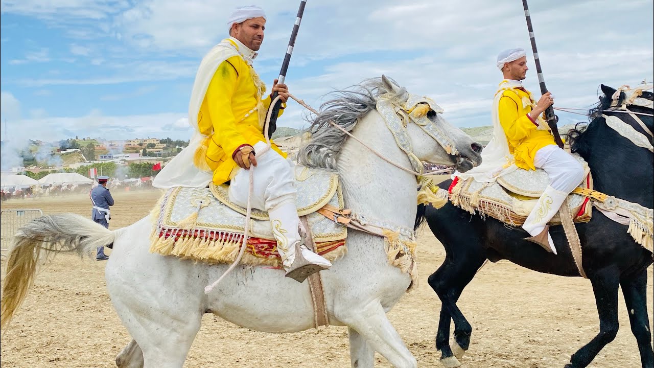 ❤️🐴التبوريدة الرسمية جهوية تيسة اقليم تاونات الفروسية 🐴🐴❤️2024tbouridaتيسة تبوريدة المغربية