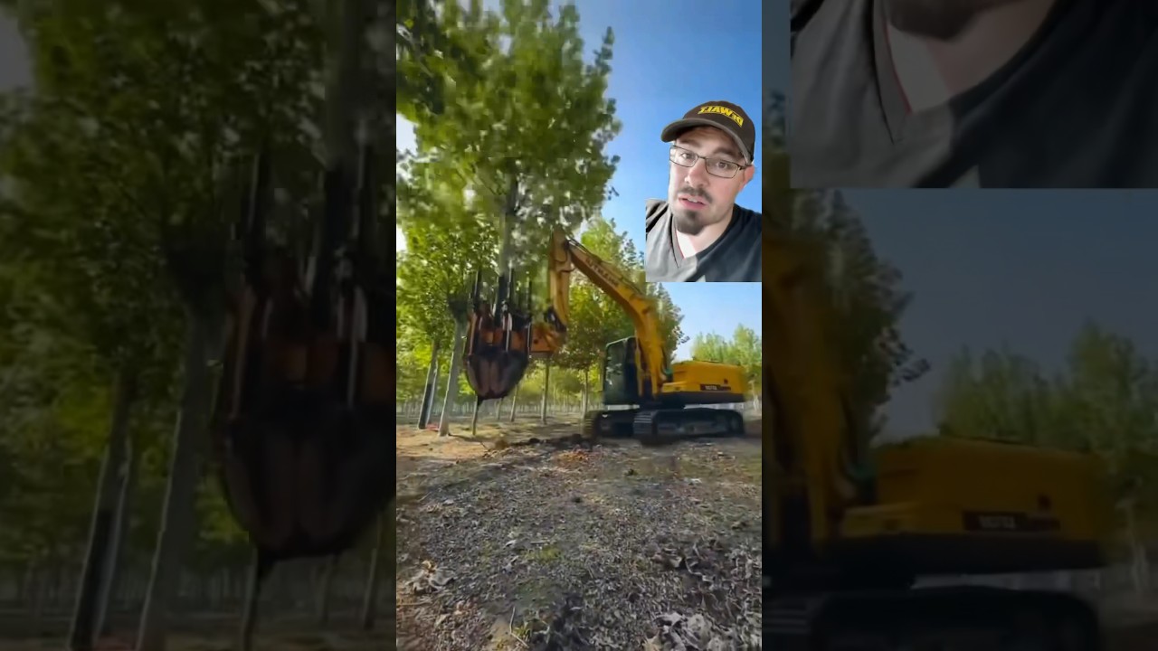 Пересадка дерева #шорты