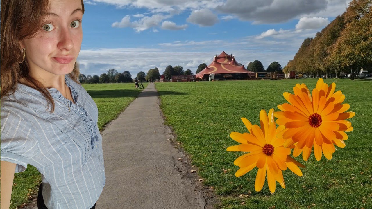 spend a quiet autumn day with me trying to be productive