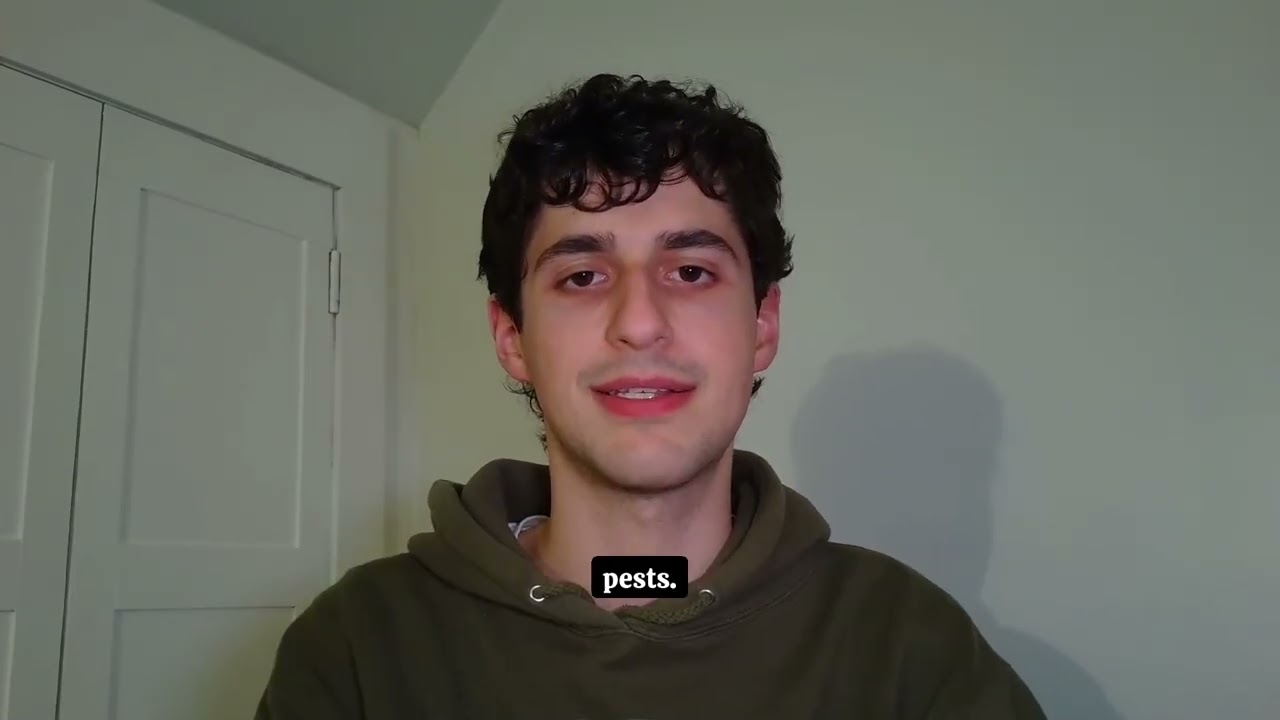 Начните совместную посадку растений.