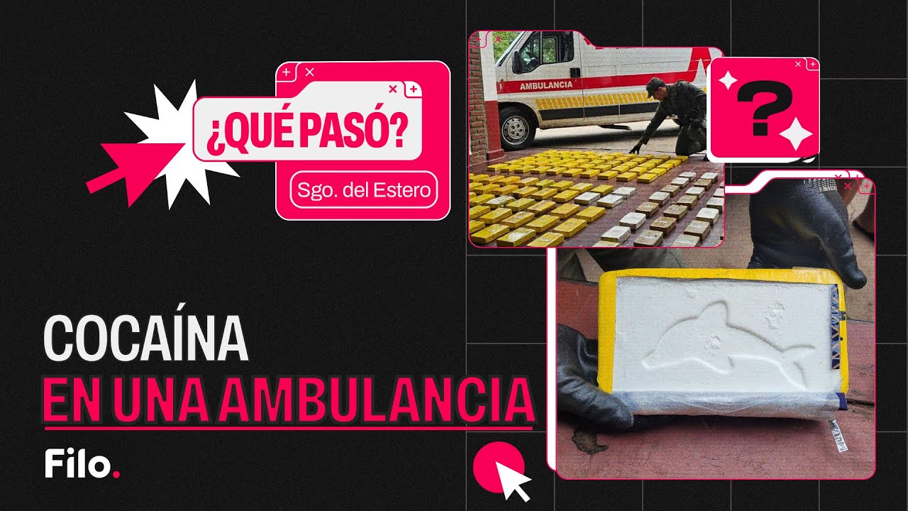 Delfines y drogas: el misterio de los ladrillos amarillos en una ambulancia | Qué Pasó