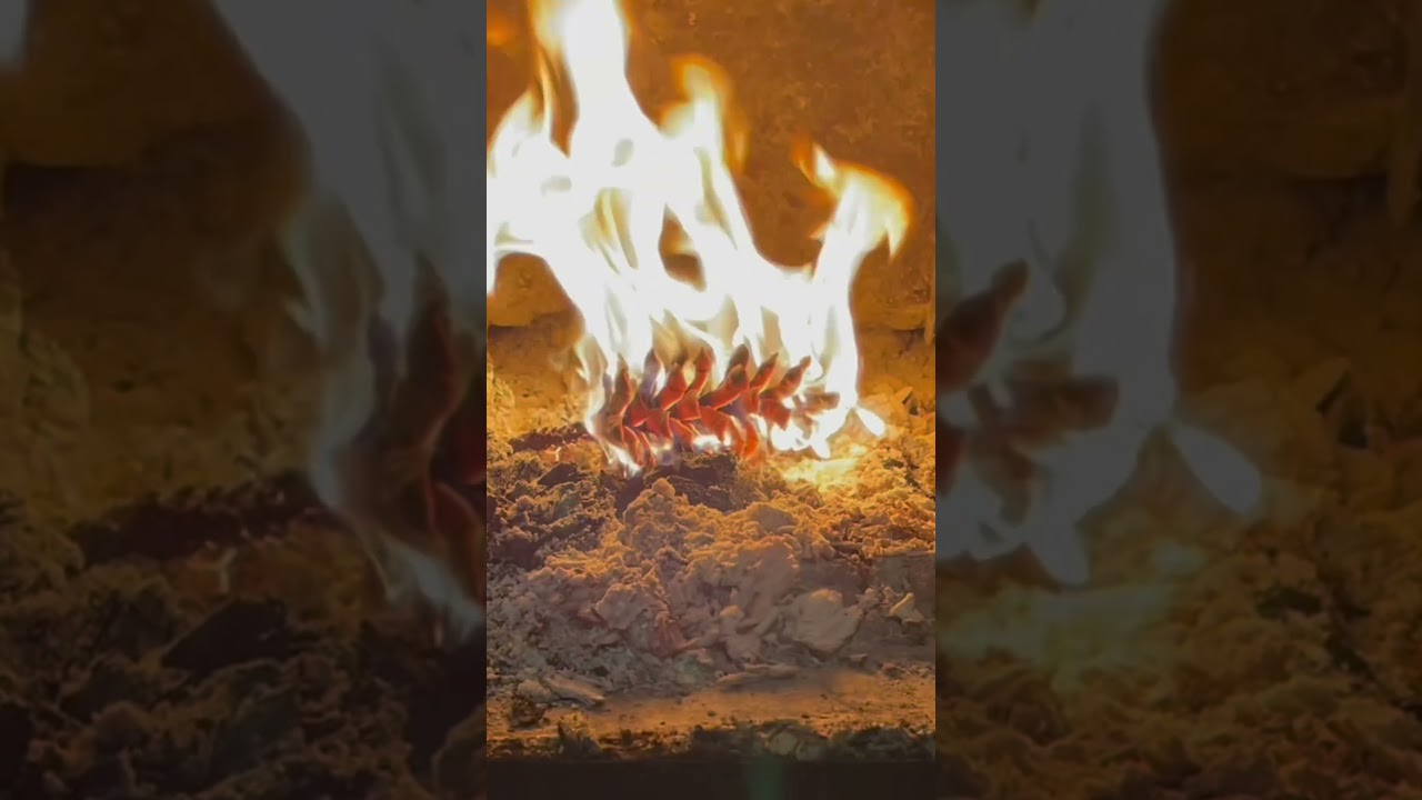 Pinecones are better than fat wood!!! #firestarters #firewood #pine #pinecone #knowledge