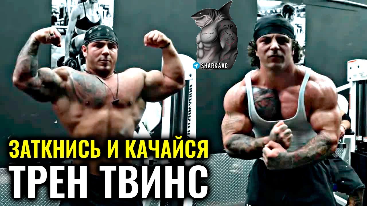 ЗАТКНИСЬ И КАЧАЙСЯ | ТРЕН ТВИНС НА РУССКОМ