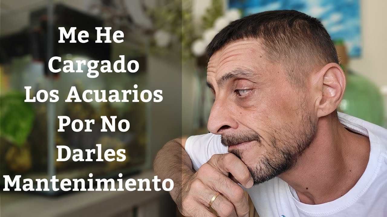 🔵 Me He Cargado Los Acuarios Por No Darles Mantenimiento (Acuarios MB)