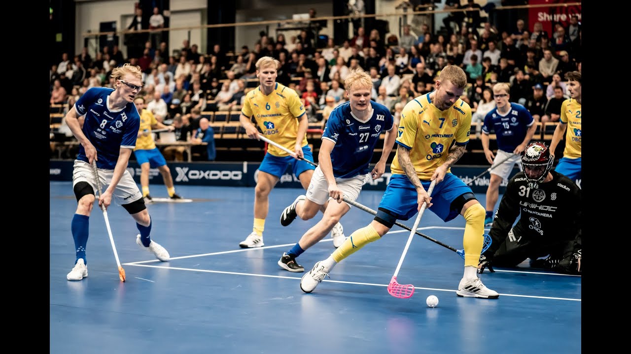 Maalikooste: Ruotsi – Suomi 4–8 (miehet)