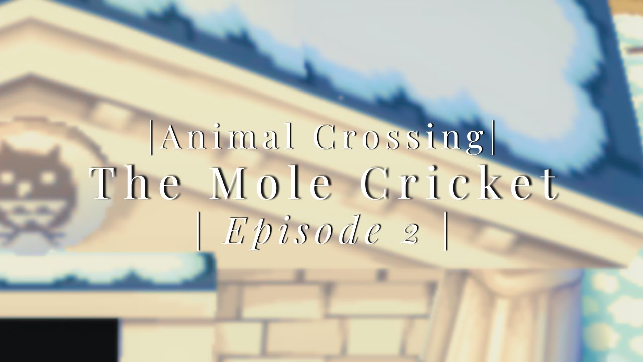 Our First Catch! | Animal Crossing | Ep 2